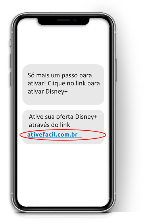 Abra o link de ativação